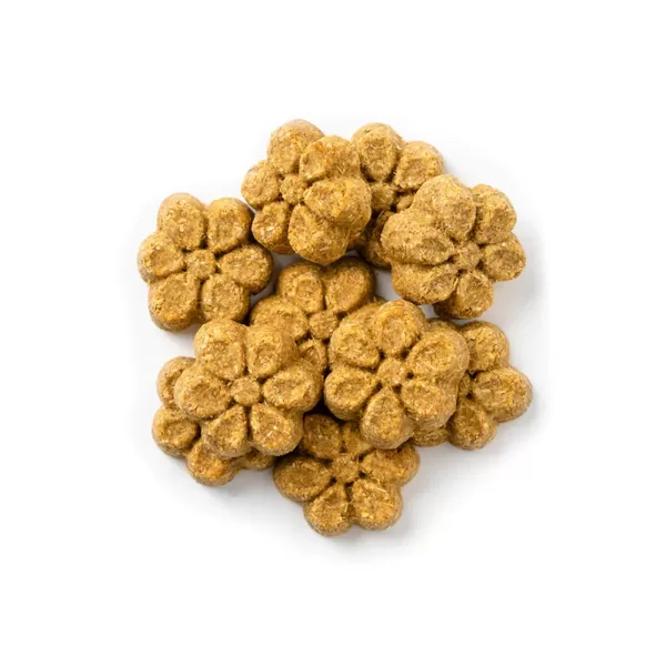 recompense naturale Fruitables pentru caini
