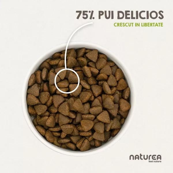 Hrana uscata pisici, Naturea, Bastet, cu pui natural crescut in libertate