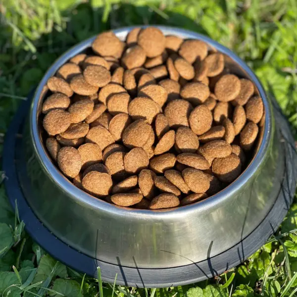 hrana uscata pentru caini Maxi Adult Carpathian 12 kg