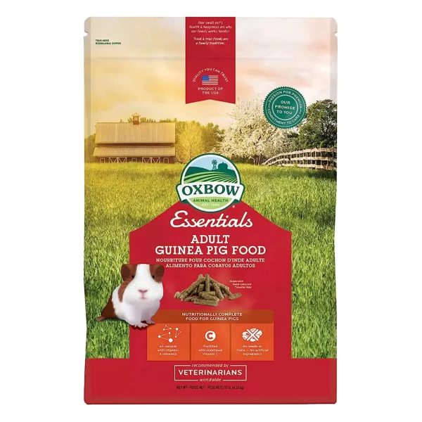 porcusorii de guineea