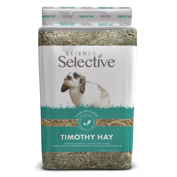 Fan timoftica original